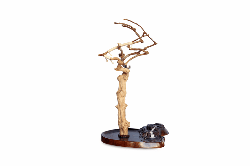 Island Tree Stand for Parrots 360 View