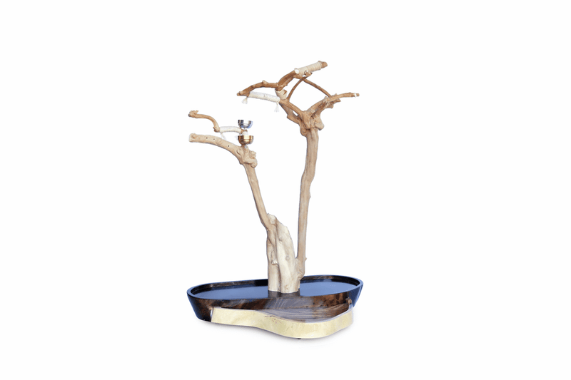 Voyager Abstract Tree Stand for Parrots 360 View