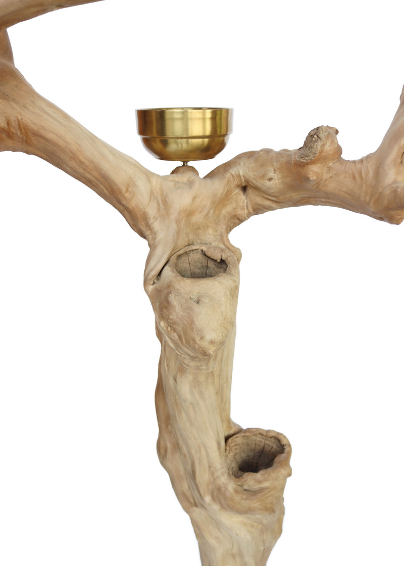 Island Tree Stand Activity Features & Gold Dish