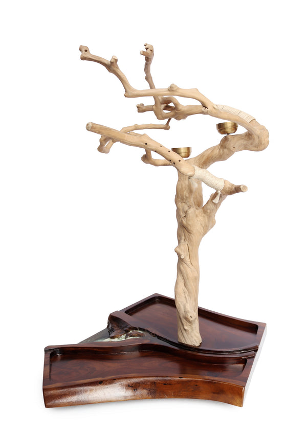 Riverrun Tree Stand for Parrots