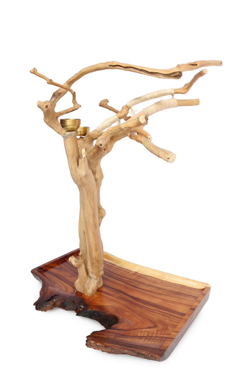 Phenomena Tree Stand with Aged Base Side View