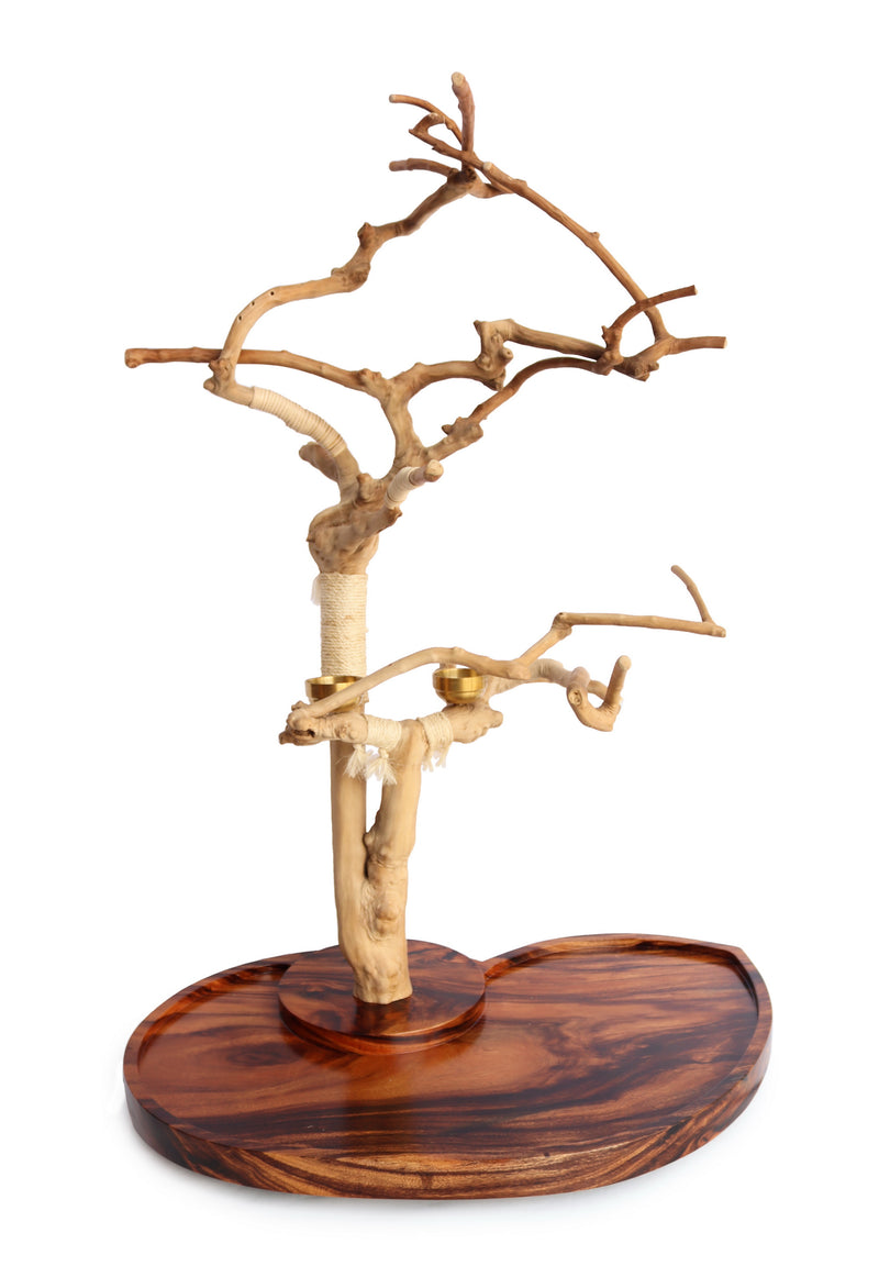 Sectio Divina Tree Stand w/ Golden Ratio Base