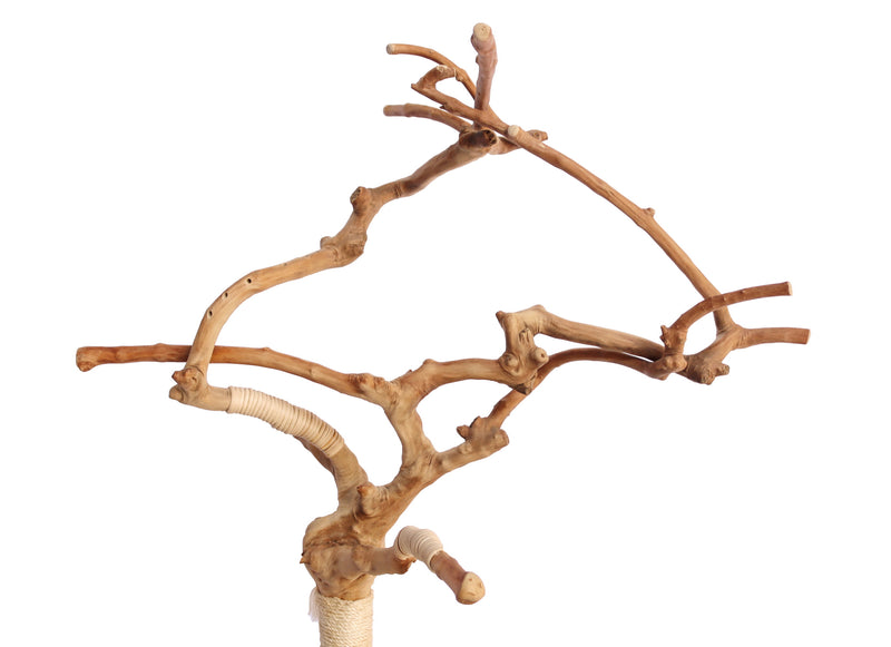 Sectio Divina Tree Stand Top Branches